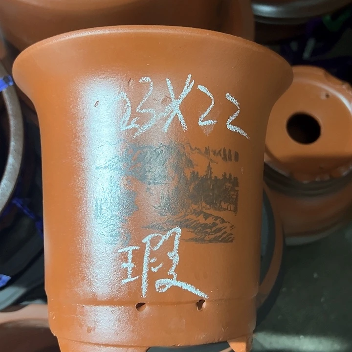 周深周深周深周深