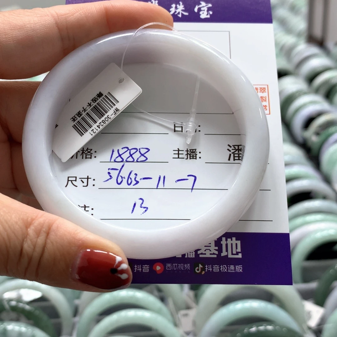 未镶嵌手镯翡翠13