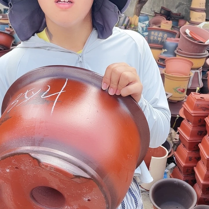 35紫气东来花盆花盆花盆