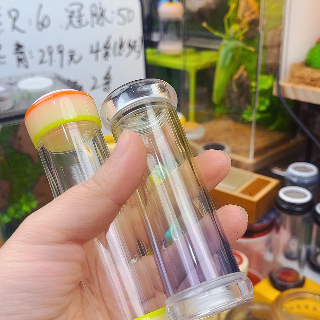 生态箱带两竹铃哈哈哈