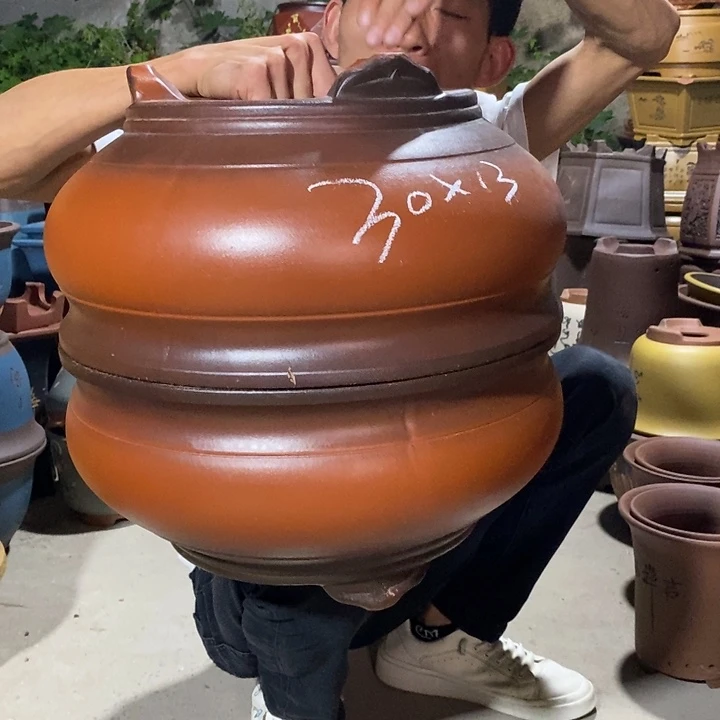 紫砂紫砂紫砂紫砂