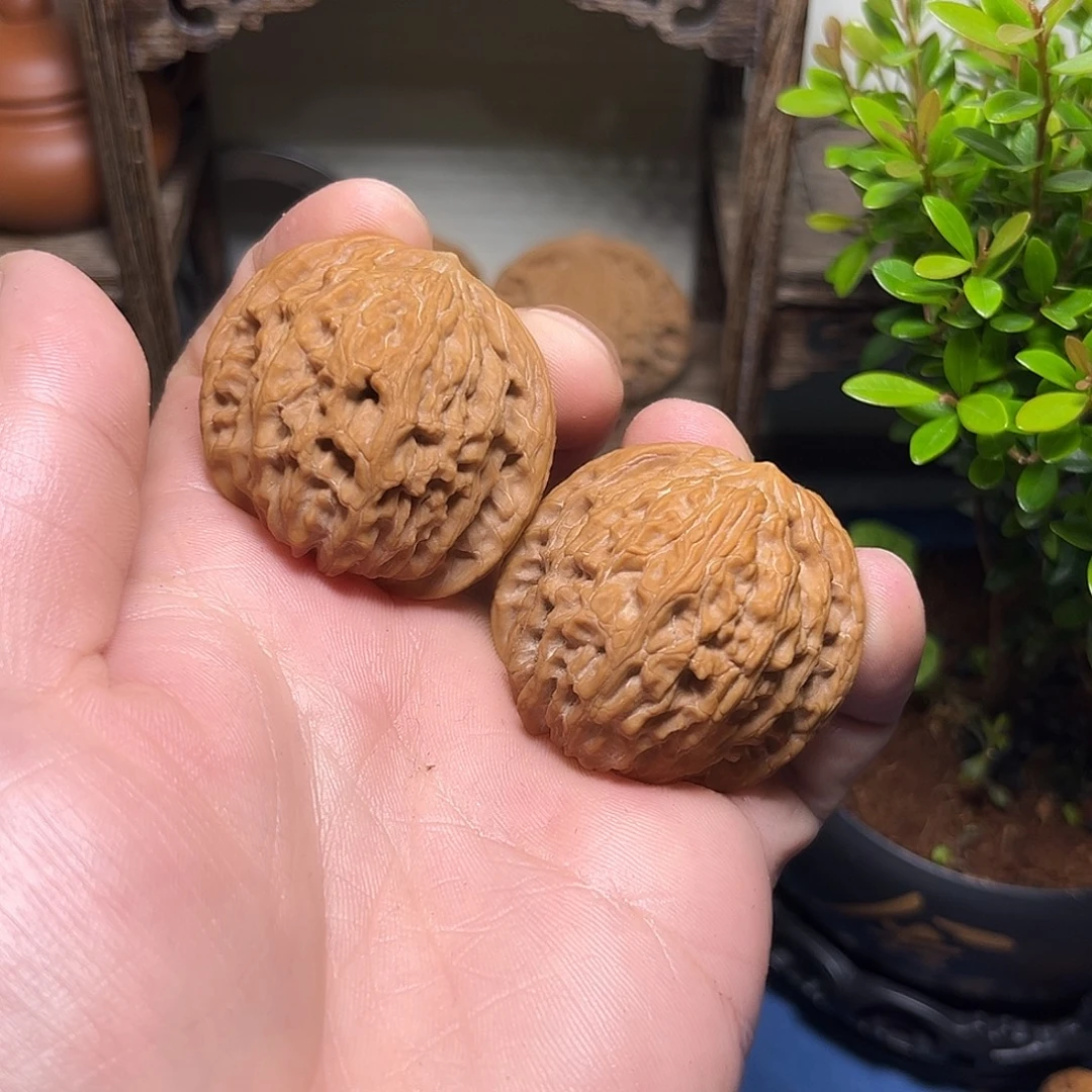 A***l磨盘磨盘磨盘磨盘