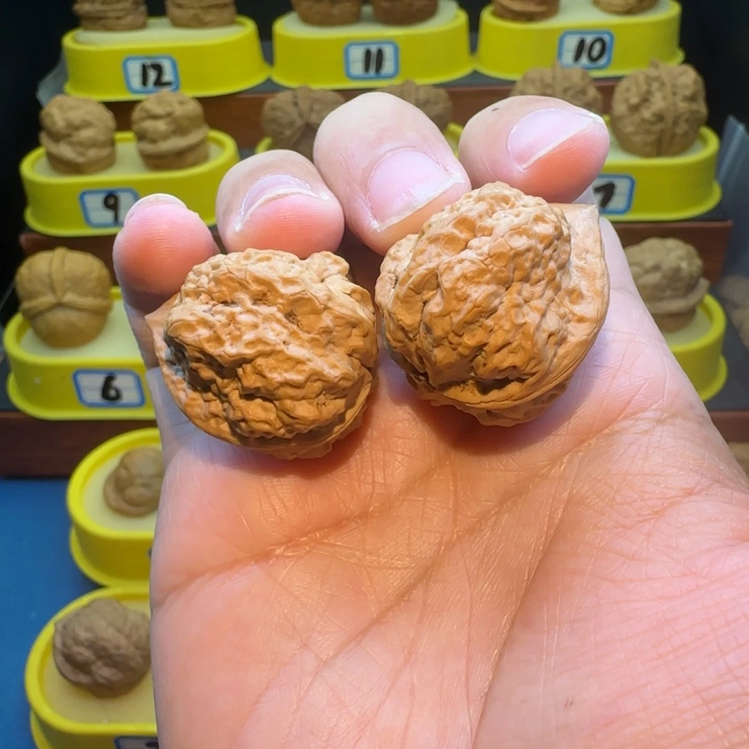 零***桃核把件羊头蟾核桃