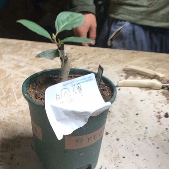 无花朵舍*得你也不能和我一起睡么我在你那住