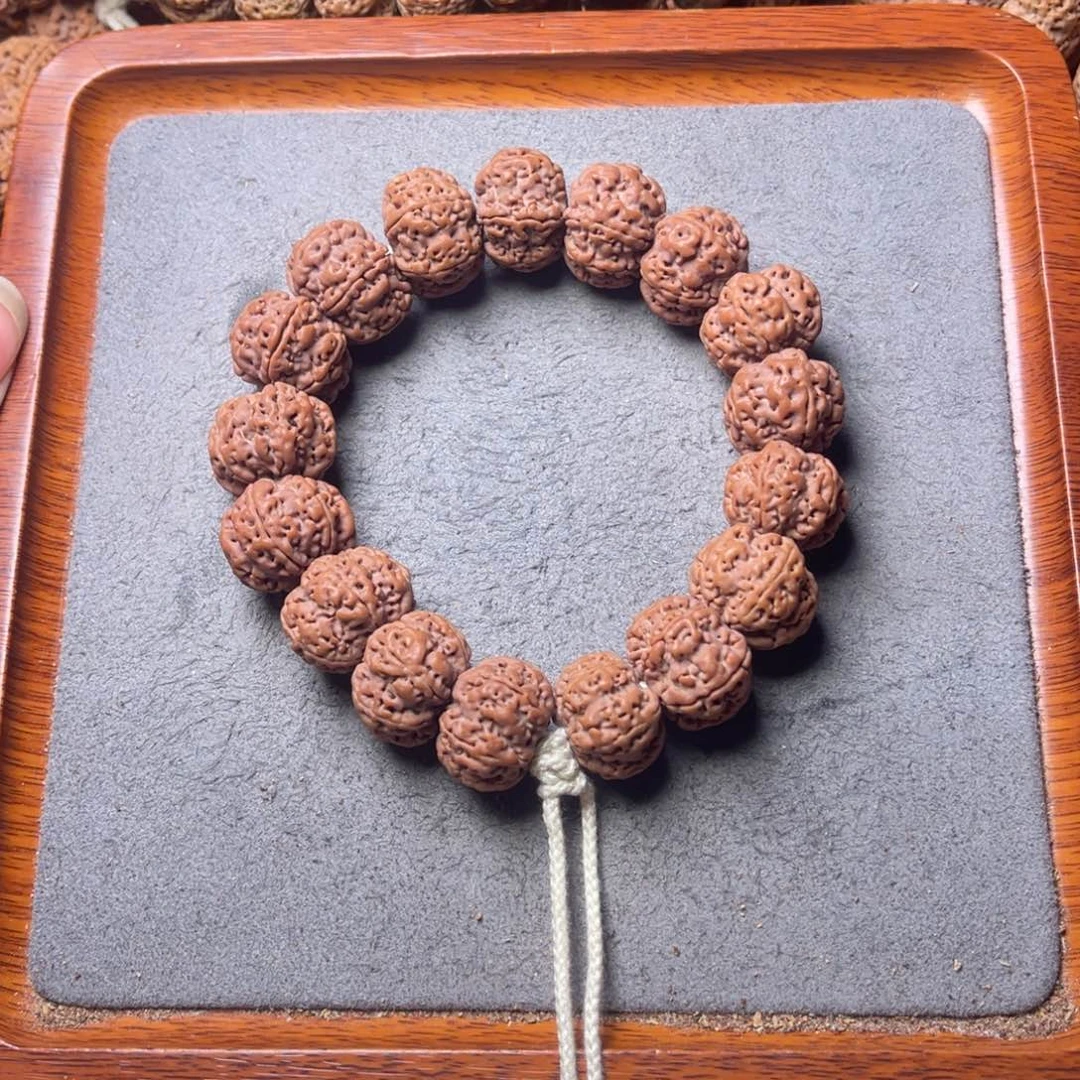 菩提36号金刚菩提雪花扇面六瓣21