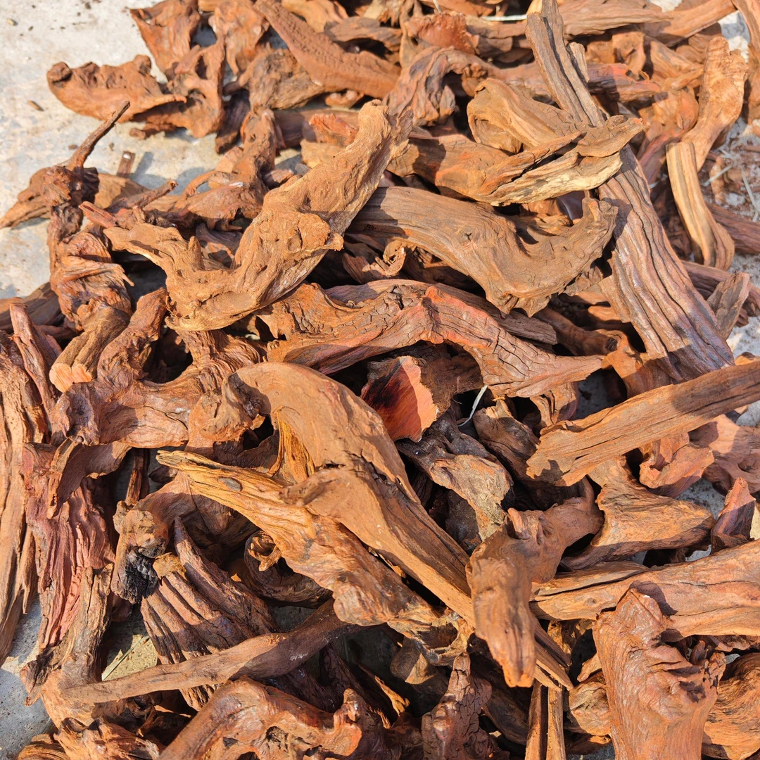 蚂蚁哥哥精选意境工艺品摆件装饰品海鲜姿造三文鱼刺身摆盘装饰