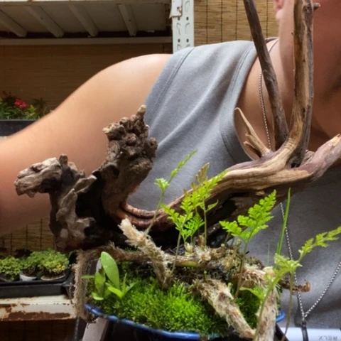 红陶✨****✨一物一拍所见即所得85