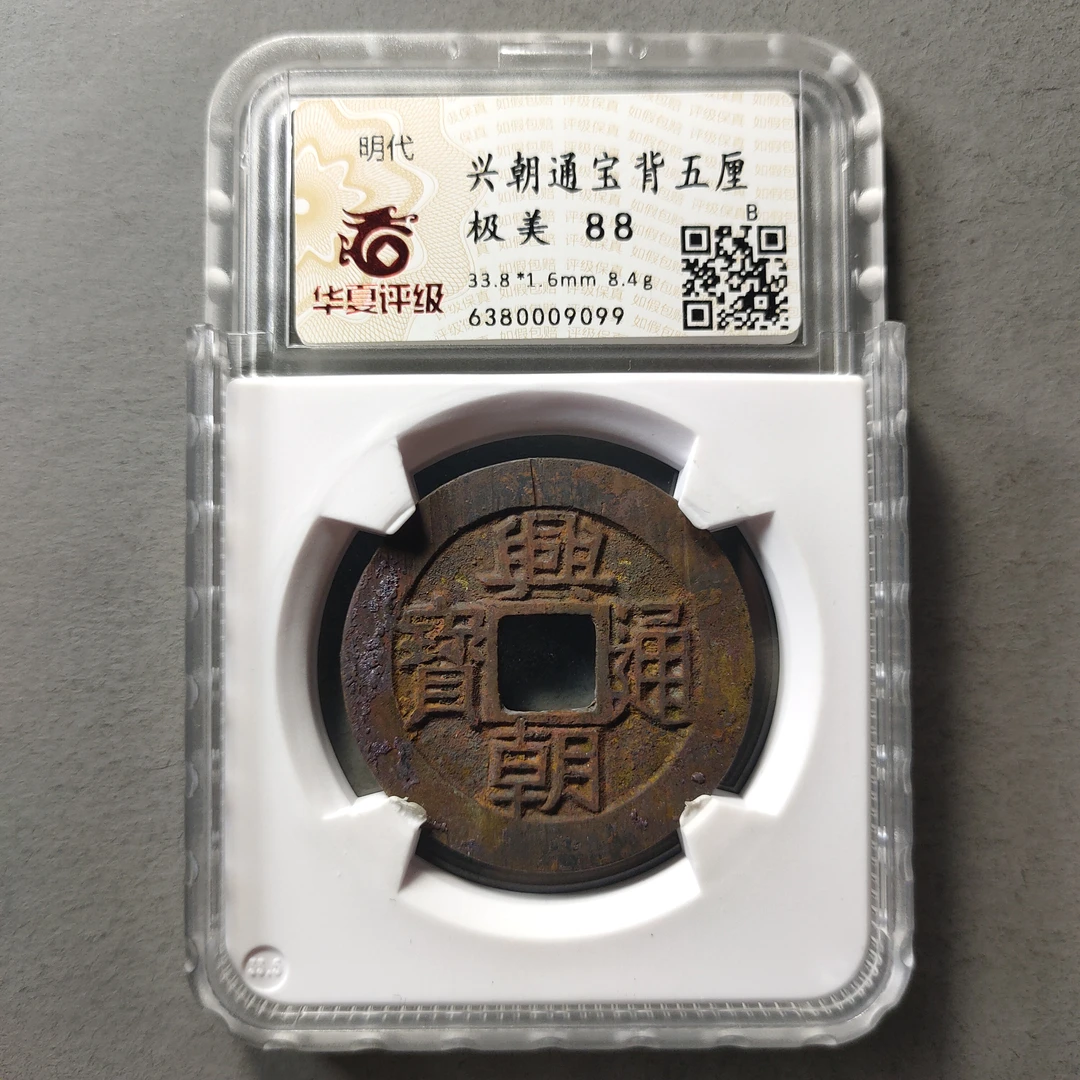 80615-24 兴朝通宝背五厘