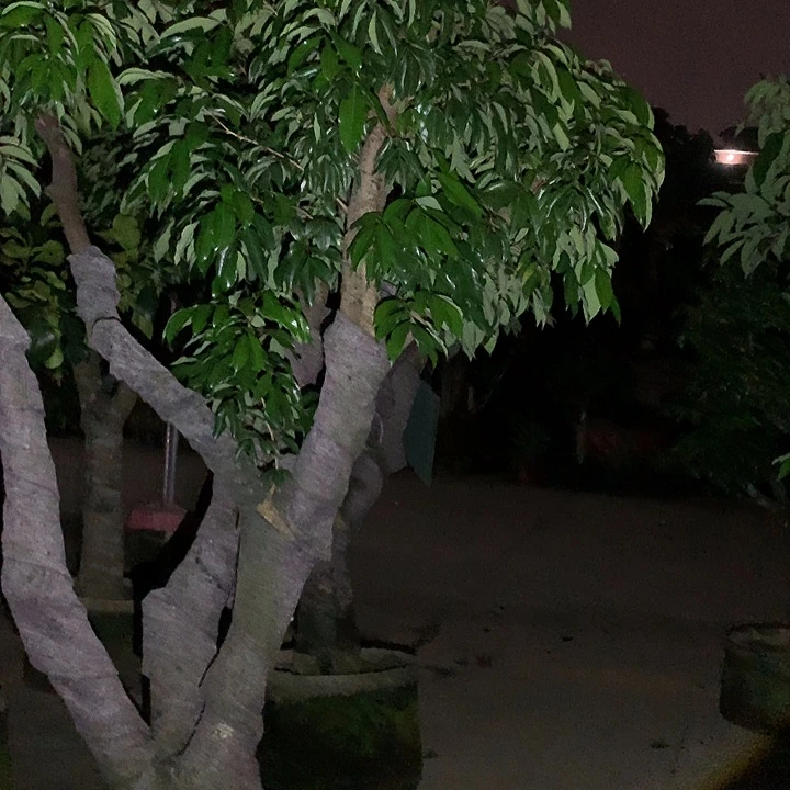 冠***军完全开放2346764478756775666777