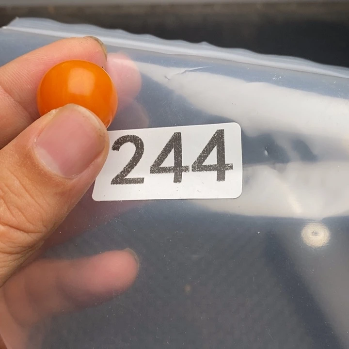 大果紫檀（缅甸花梨）