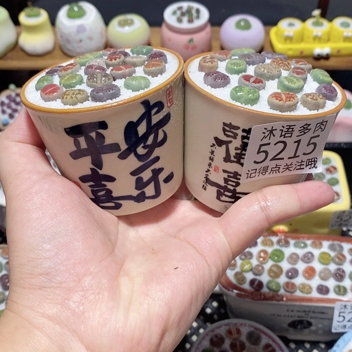 带盆土植物 一物一拍5215