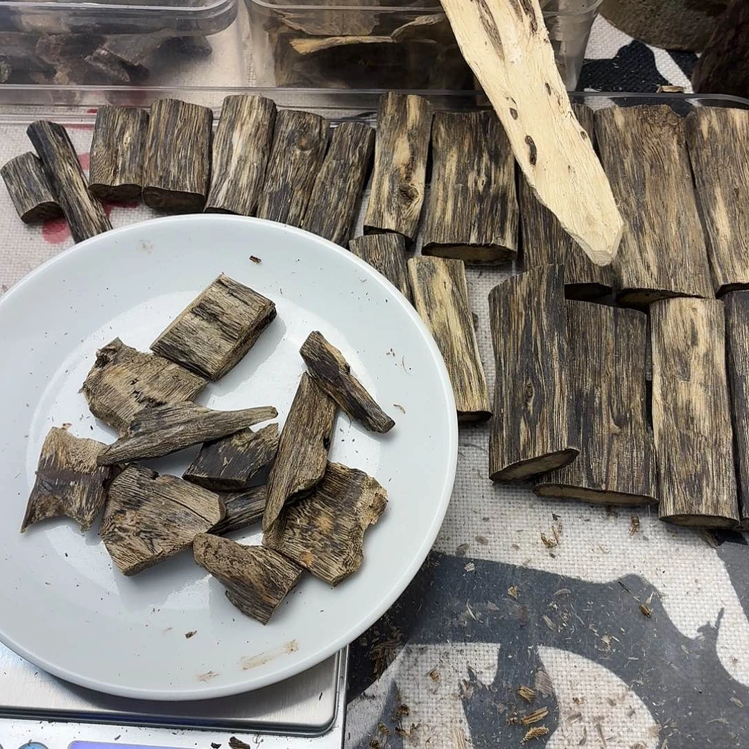 26克熏香块料开播福利