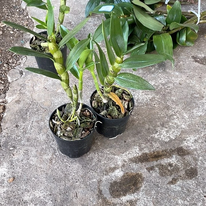 完全开放无需担心