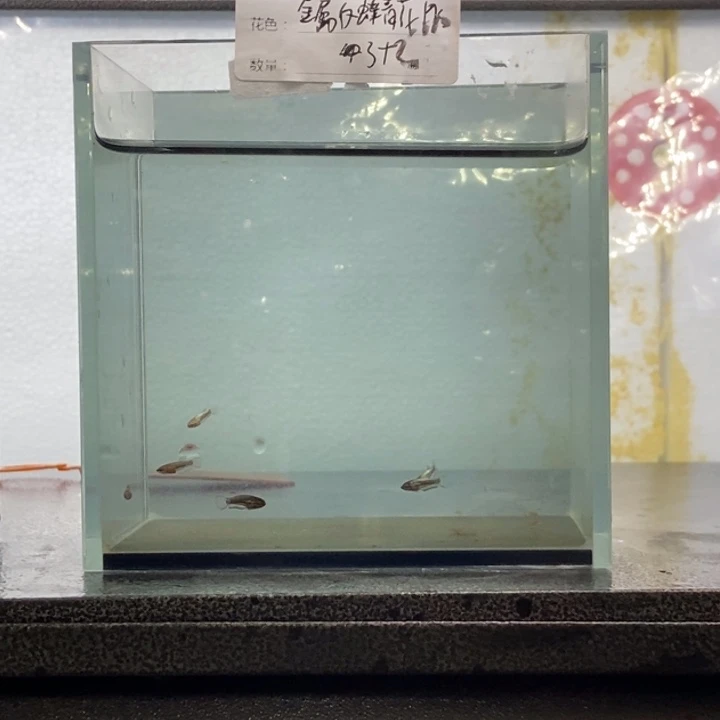 斗鱼包活不包损所见即所得459