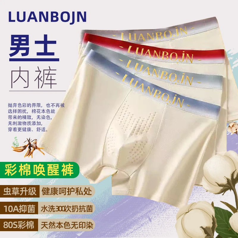 【虫草养护】80支(LUANBOJN)100%纯棉男士彩棉透气平角短裤舒适短裤