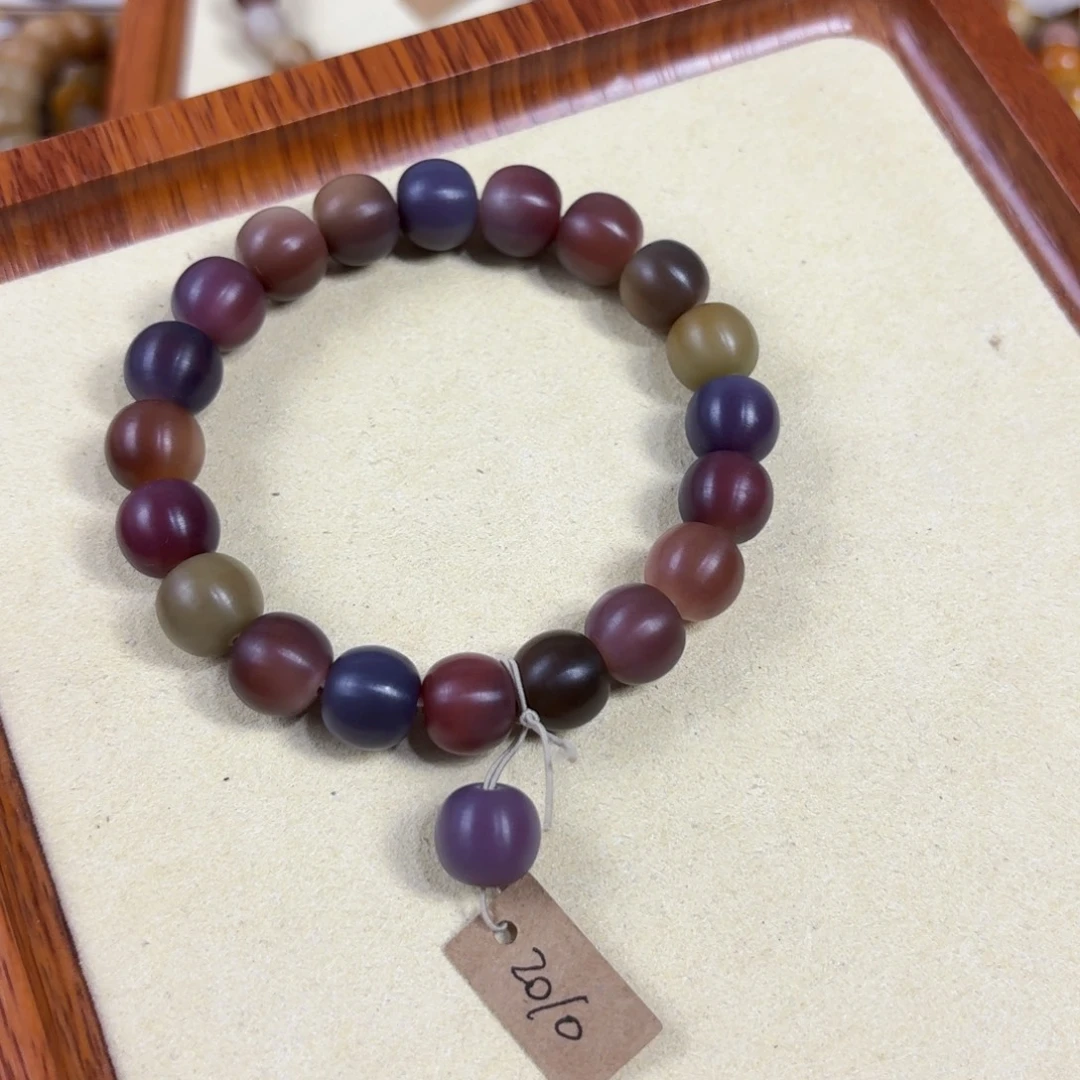 z***z菩提根/象牙果吊坠2010卡12干磨