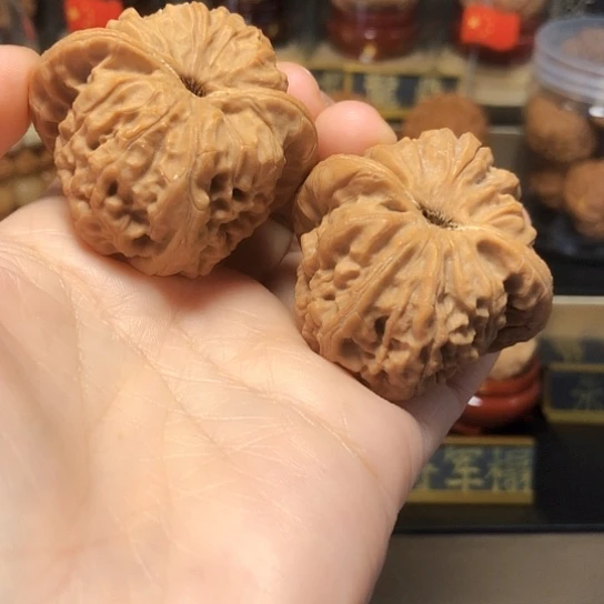 7***7野生高端：龙公子货头