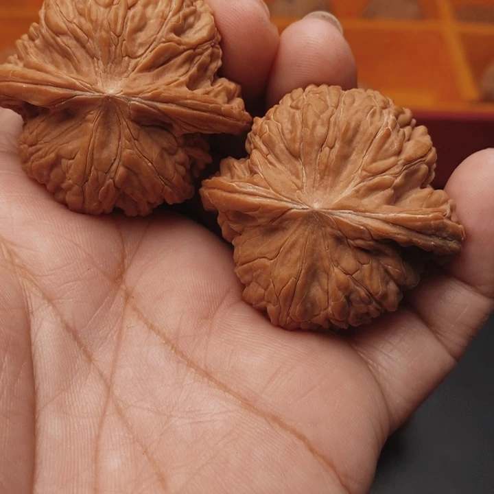 核桃磨盘43尺核桃