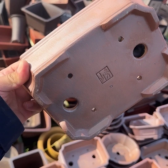 这一期太有意思咯太开心打酱油吧好棒