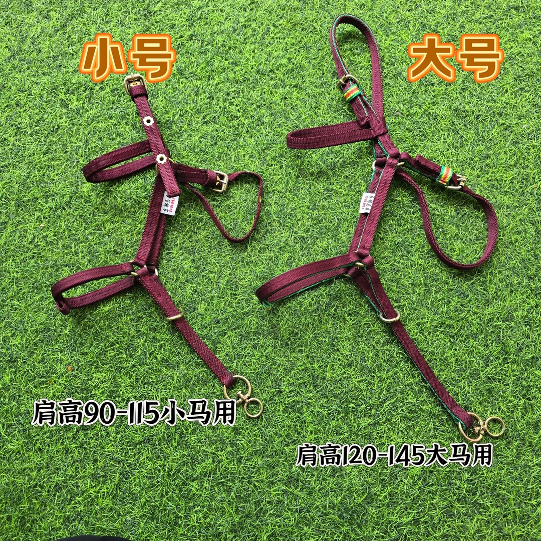 马笼头龙头藏式牵马马术马具装备新款配件用品大小调节