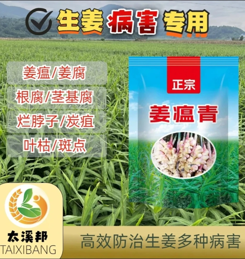 防治姜瘟根腐炭疽纹枯病的生姜专用配方