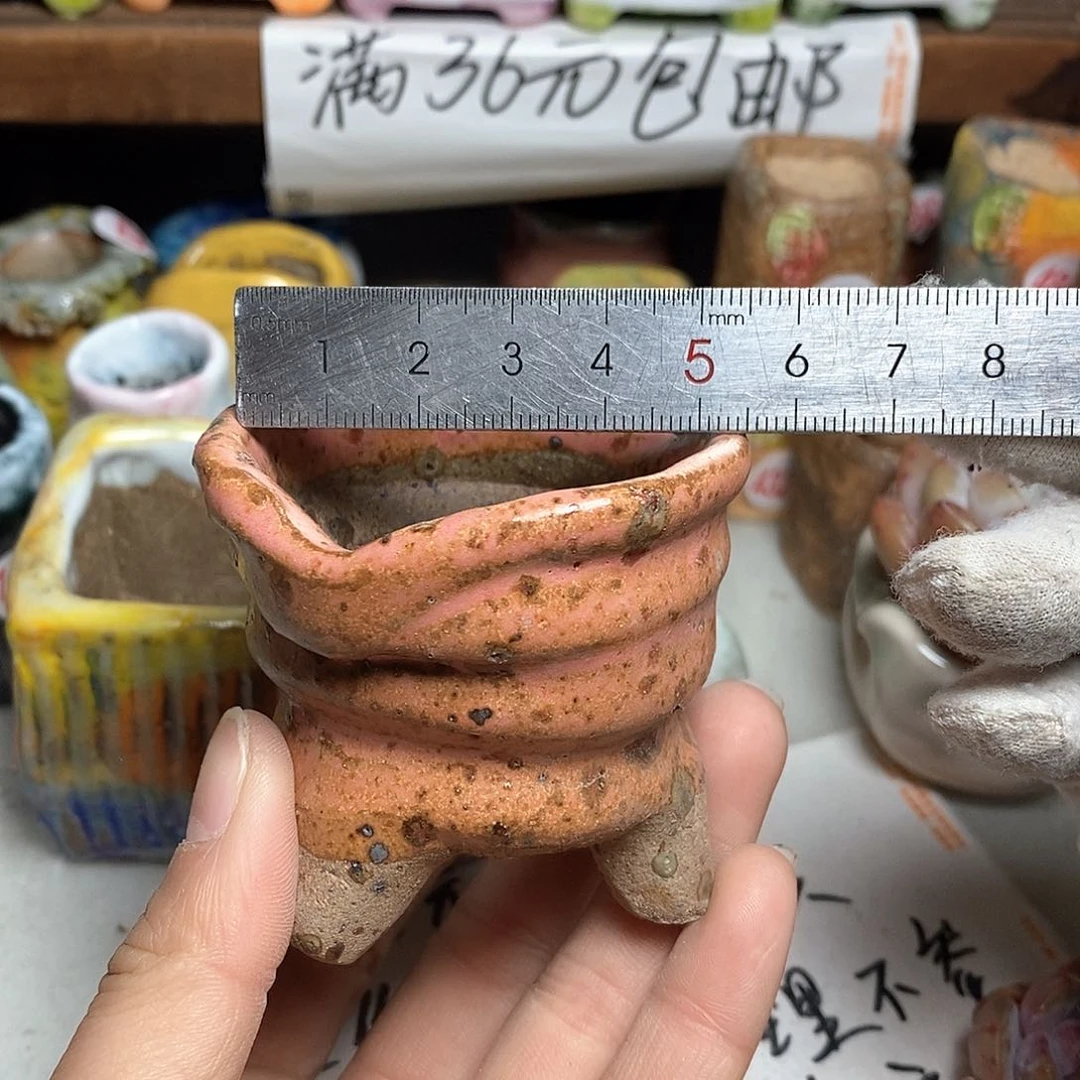 红陶拍5送一个小