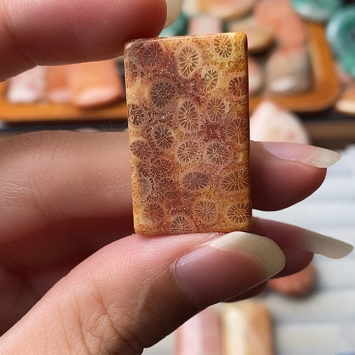 谁***地硅化玉未镶嵌颈饰