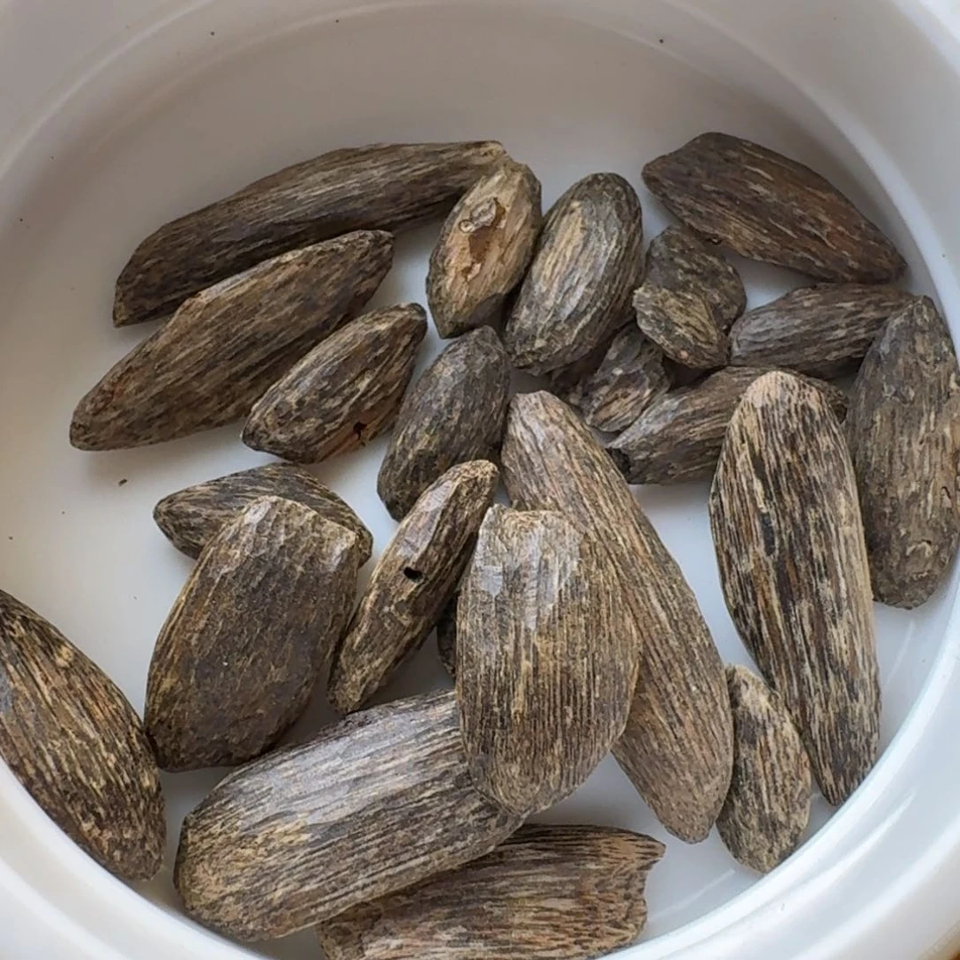 树脂制品深圳野瓜子一份5