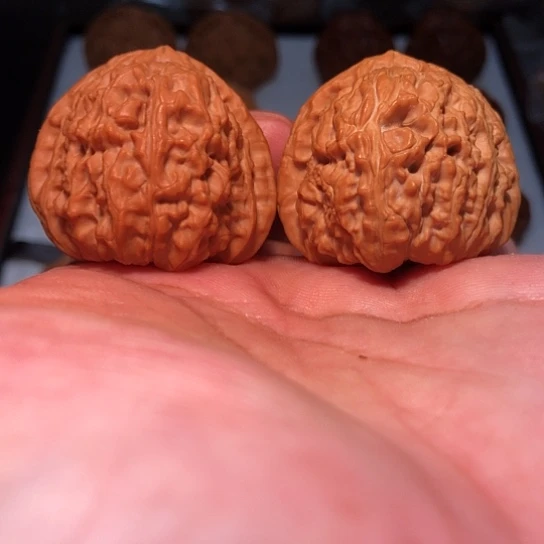有机玻璃37全品肉纹三角白