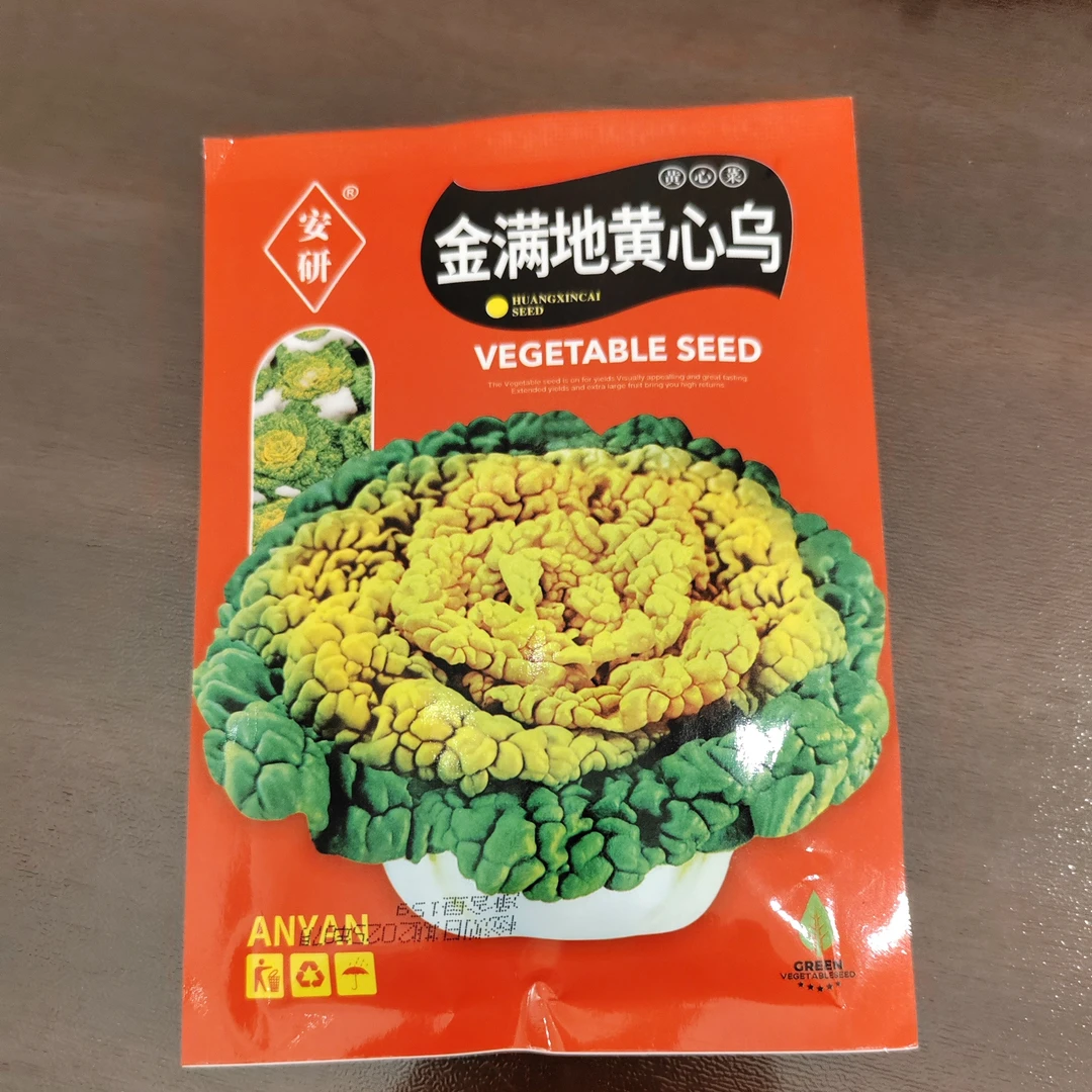 耐寒耐湿可庭院种植的安研金满地黄心乌塌菜种子