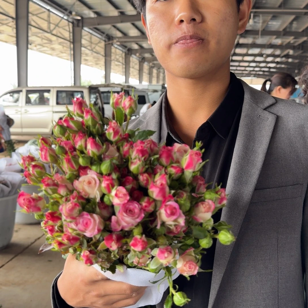 折射1扎包邮价秒杀