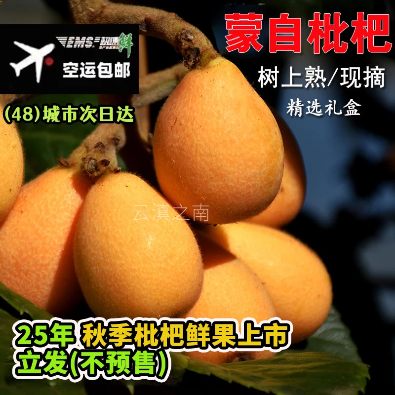 【空运现货】25年云南蒙自枇杷当季鲜果长虹琵琶果水果新鲜孕妇小孩