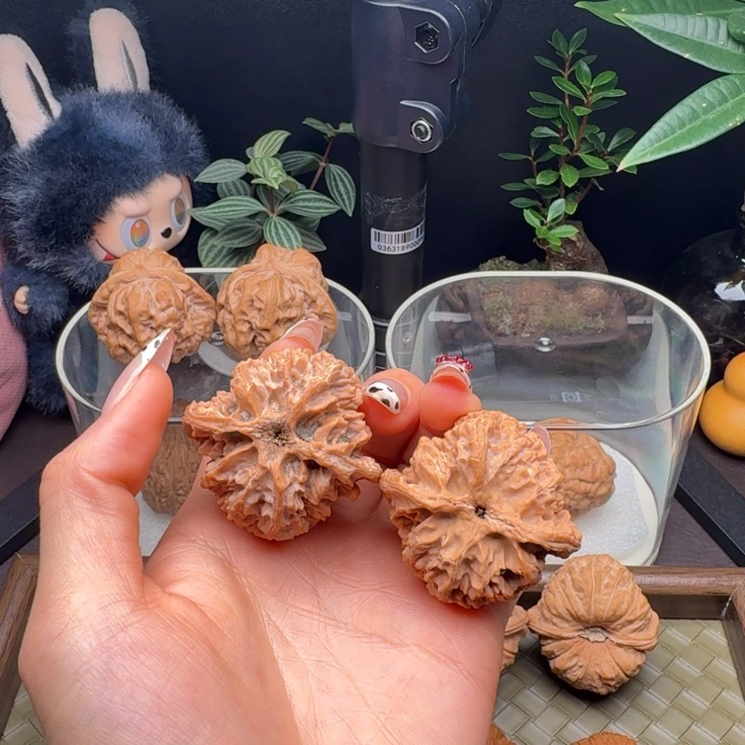 龙脊菩提把件全品三角苹果园43