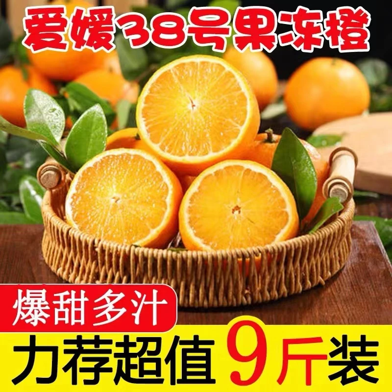 乡村助农达州赵家 爱媛38号果冻橙10斤 水果时令生鲜当季新鲜橙子