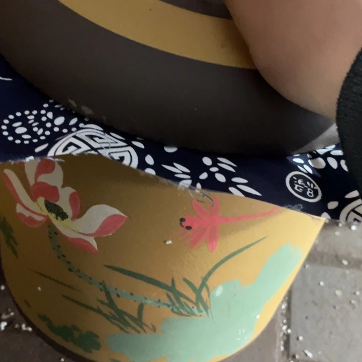 紫砂茶叶罐茶叶罐