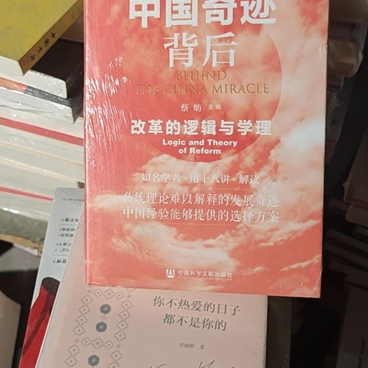 中国奇迹背后精装库存书