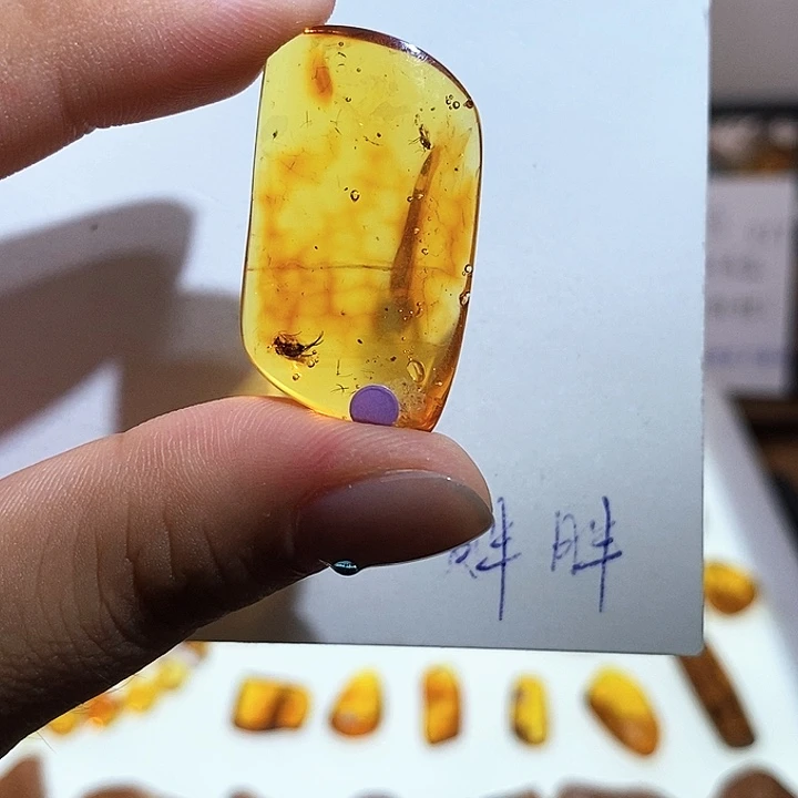 定制琥珀琥珀虫珀吊坠
