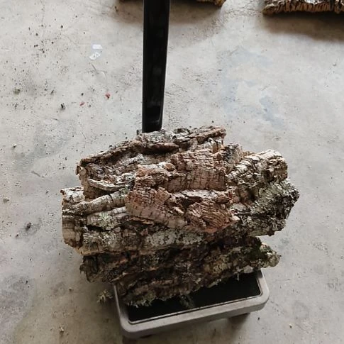 木一物一拍一物一发