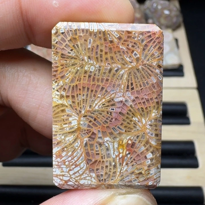 硅化珊瑚（珊瑚玉）未镶嵌纯天然色有机玉石保真色