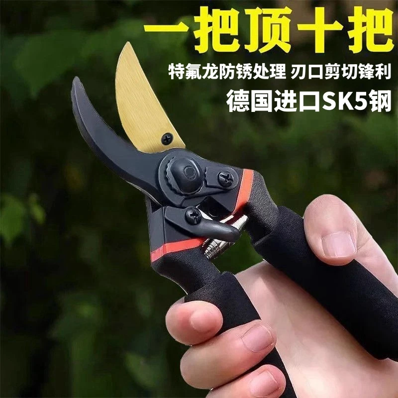 德国进口修剪树枝专用剪刀粗枝花枝省力剪子摘果神器园林园艺工具