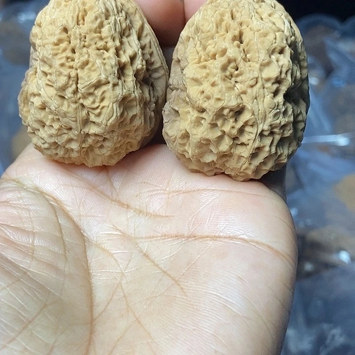 文玩核桃把件云南铁核桃基地45