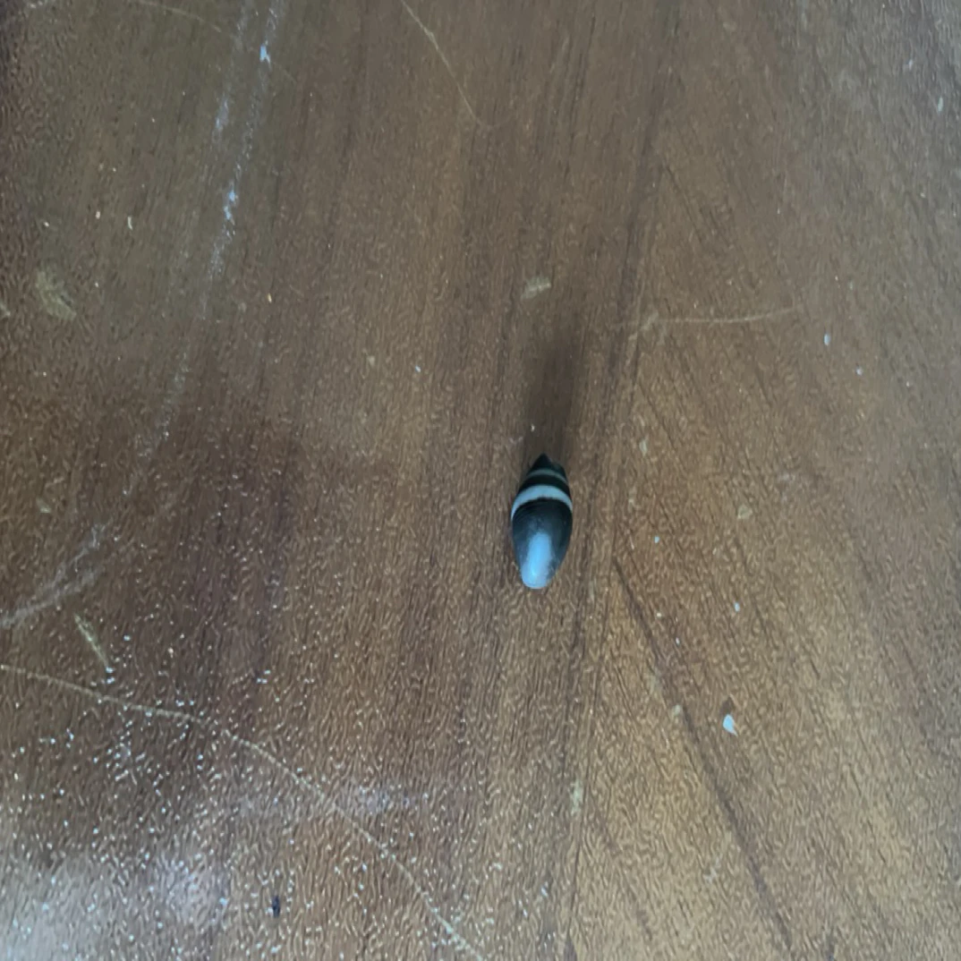 藏地密码，藏式珠子k497