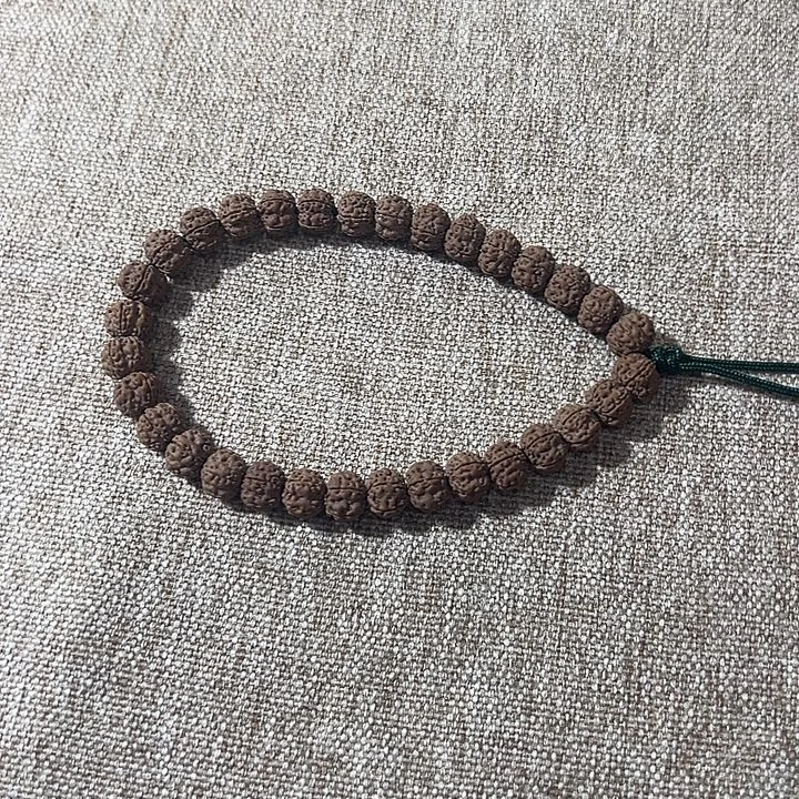 手串金刚菩提老树梅花