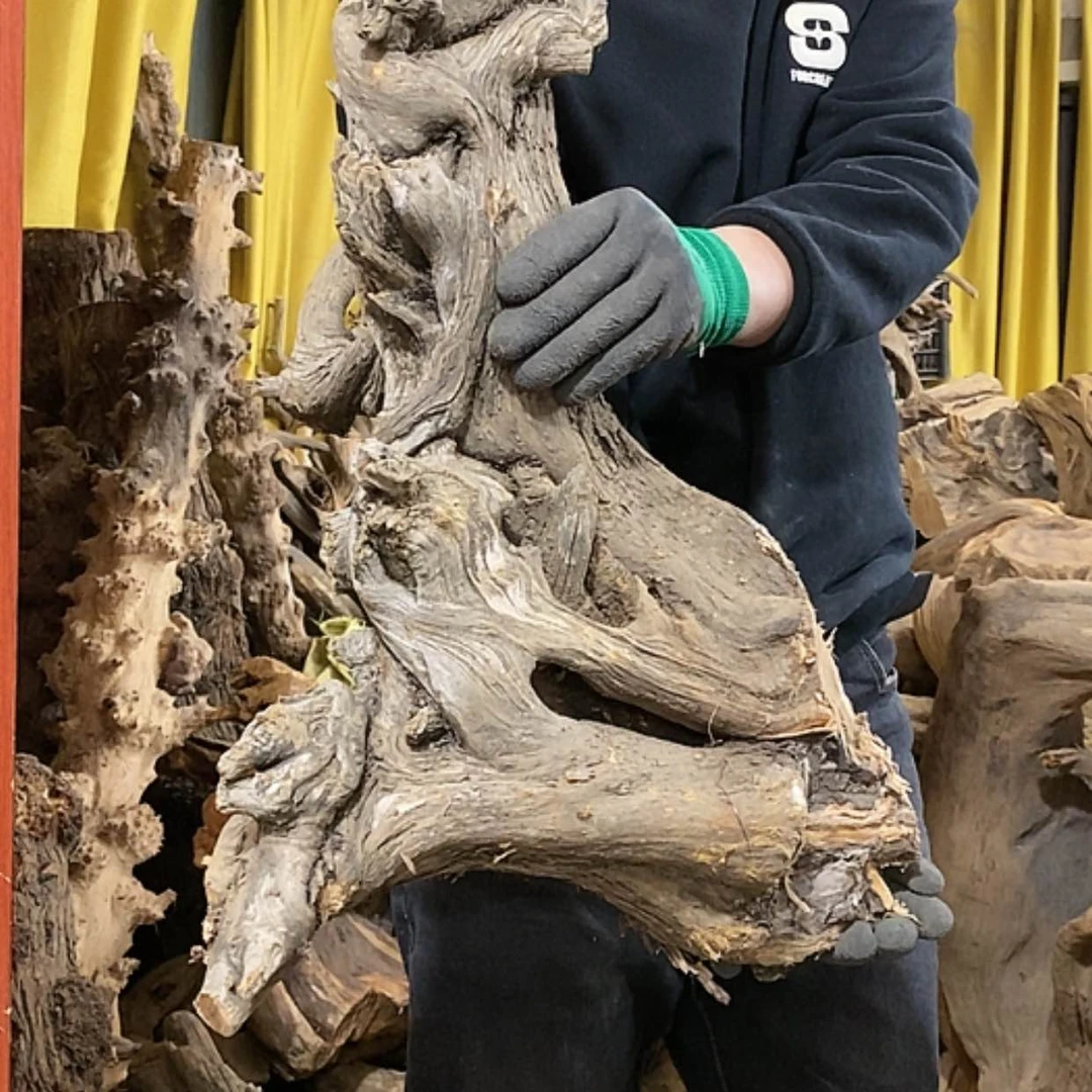 【闪购商品】柏木宽****心我们都是好孩子