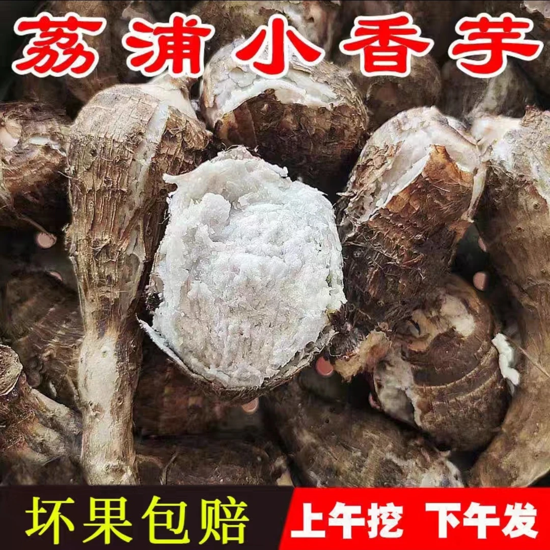 广西荔浦小芋头新鲜小芋头仔正宗芋粉糯香软当季蔬菜早餐农家菜