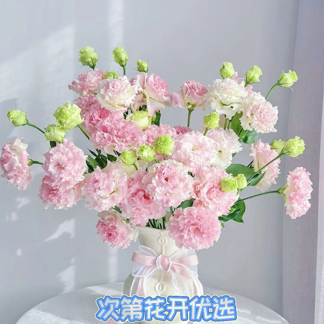 【洋桔梗】鲜切花东北基地直发发货顺丰包邮