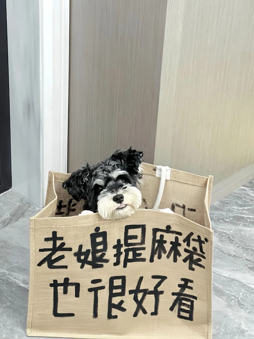 uuuuu视频同款去黑头套装