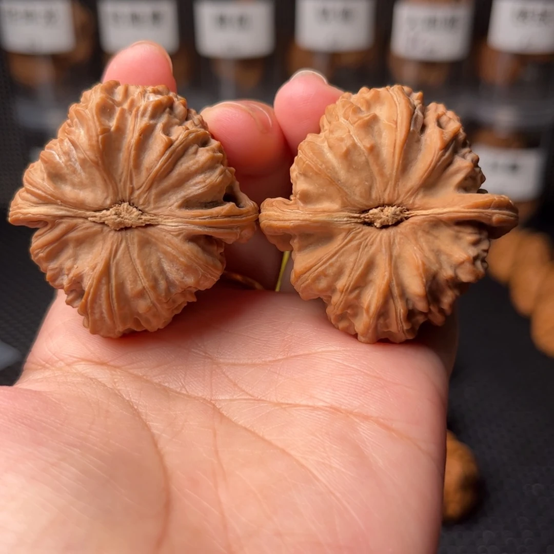 农***?全品41白狮子白狮子白狮子白狮子