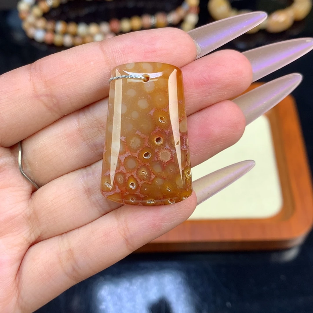 【闪购商品】颈饰未镶嵌硅化珊瑚（珊瑚玉）