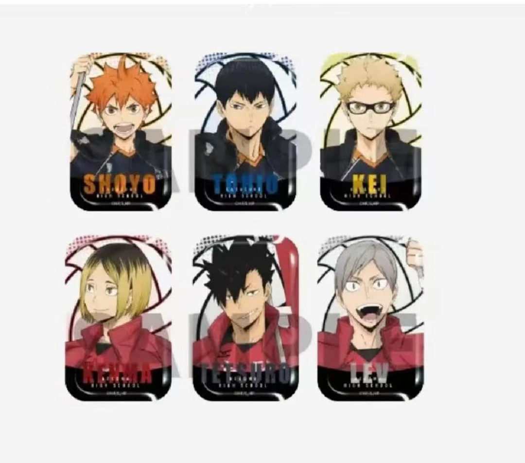 【日谷】 排球少年举旗方吧唧徽章盲盒（默认代拆）